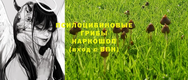 a pvp Надым
