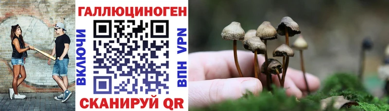 Купить  Серпухов  Псилоцибиновые грибы прущие грибы 